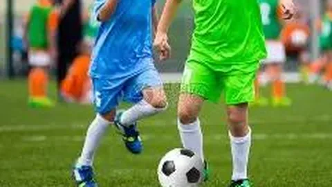 安博体育 产品 090007 0pa