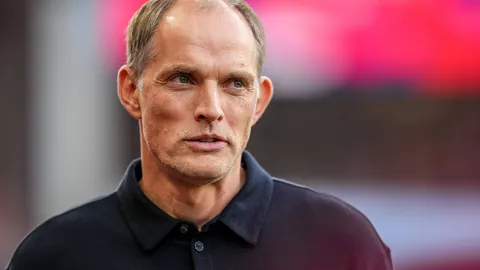 独领风骚！NBL连战连捷，近NBL两天豪取全胜，14时揭秘老鹰与跳蚁巅峰对决！