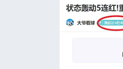 2025年温布尔登赛将创新引入电子司线，终结147年人工判线传统