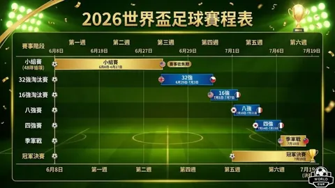 大乐透期号专家质合分析：富图雷vs艾尔格纳推荐